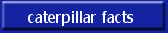 caterpillar facts